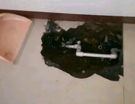 越城卫生间测漏水多少钱